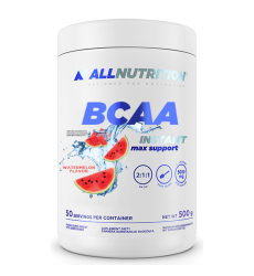 BCAA Max Support Instant - 500g Watermelon