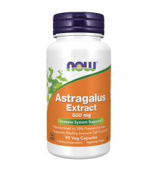Astragalus Extract 500mg - 90vcaps
