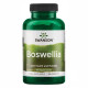 Boswellia 400 mg - 100caps (Пошкоджена банка)