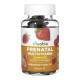 Prenatal Multivitamin Adult - 60 gummies (Пошкоджена банка)