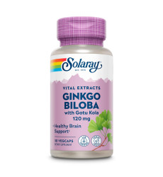 Ginkgo Biloba Extract One 120mg - 30 vcaps