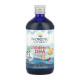 Children's DHA - 473 ml (Затерта дата)