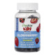 Sambucus Elderberry + Vitamin C and Zinc Kids Sugar Free - 60 gummies