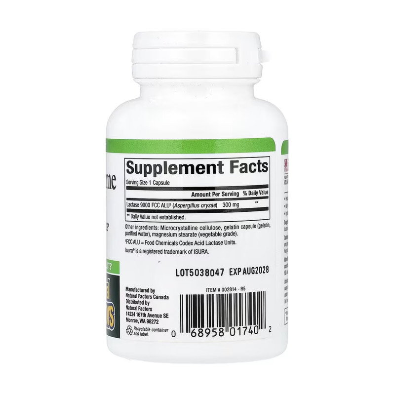 Lactase Enzyme - 60 caps