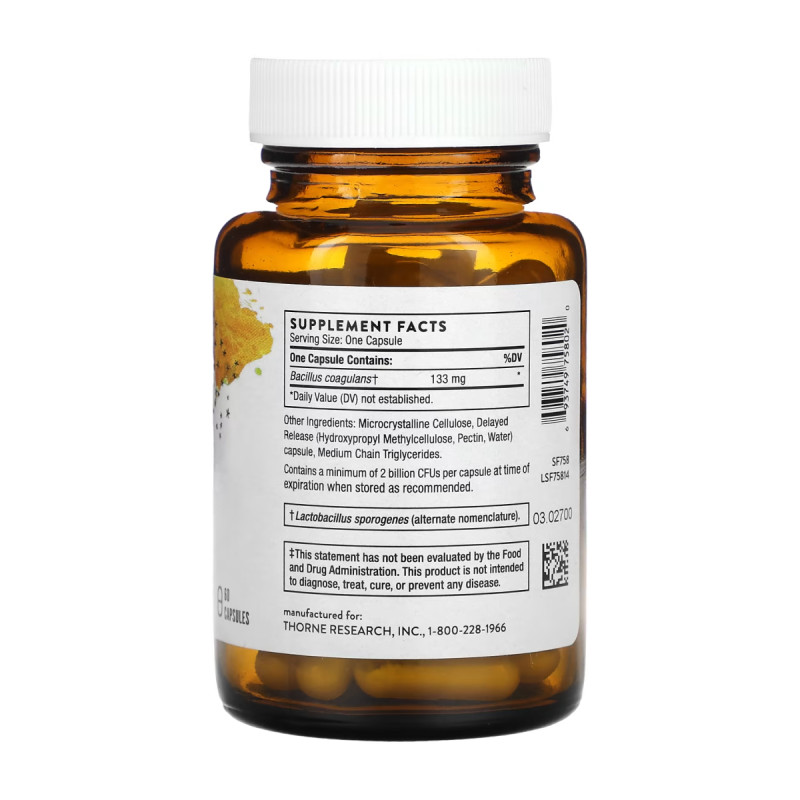 Bacillus Coagulans - 60 caps