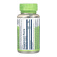 Gotu Kola Aerial 450mg - 100 vcaps