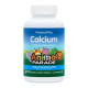 Kids Calcium Chewable - 135 tabs (До 01.27)