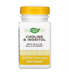 Choline & Inositol - 100 caps