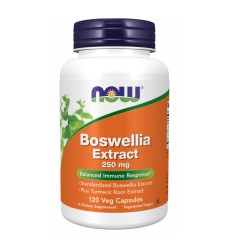 Boswellia Extract 250 mg - 120 vcaps