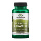 Boswellia Double Strength 800 mg - 60 Caps (Пошкоджена кришка)