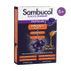 Immuno Forte Pastilles - 20 pastilles