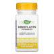 Riboflavin Vitamin B2 - 100 caps (Пошкоджена банка)