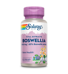 Boswellia Resin Extract 450mg - 60 vcaps