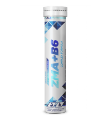 ZMA+B6 - 20tab Lemon