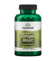 Ginger Root 540mg - 100 caps
