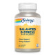 Balanced B Stress - 100 vcaps (Пошкоджена банка)