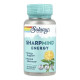 SharpMind Nootropics Energy - 30 vcaps