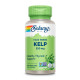 Kelp Seaweed 550mg - 100 vcaps