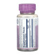Bilberry Berry Extract 60mg - 60 vcaps