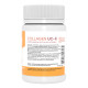 Collagen UC-II - 60 caps