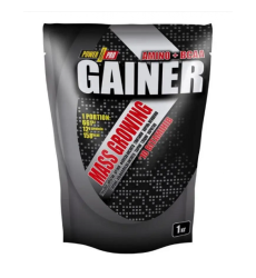 Gainer - 1000g Blueberry