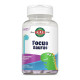 Focus-Saurus - 30 chewables Grape (До 04.27)